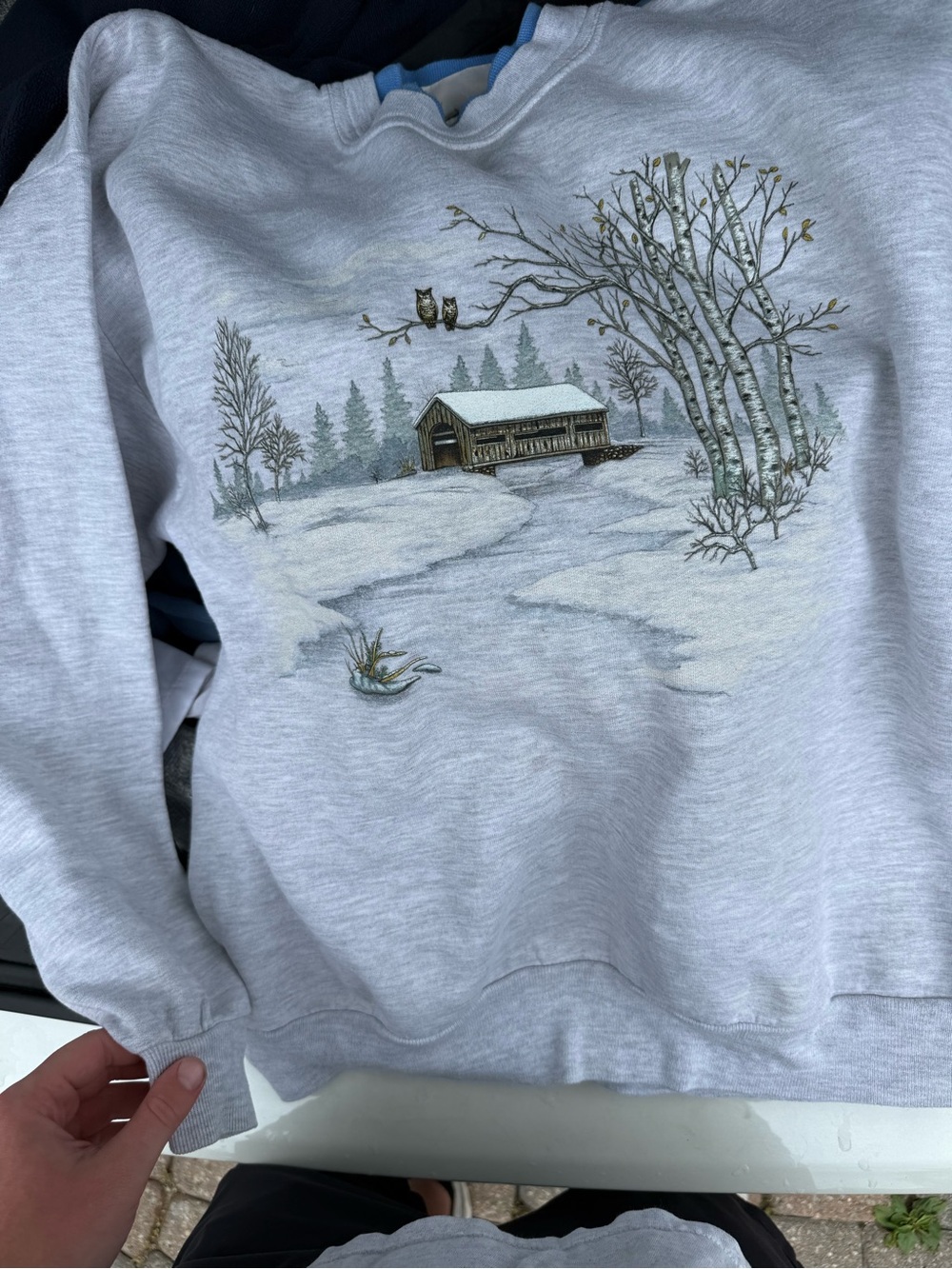 Women’s  Light Gray Scenic Winter Sweatshirt 90s grandma cottage core